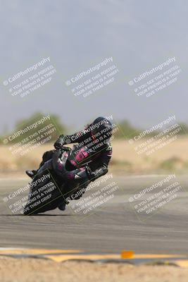 media/Sep-30-2023-SoCal Trackdays (Sat) [[636657bffb]]/Turn 15 (1120am)/